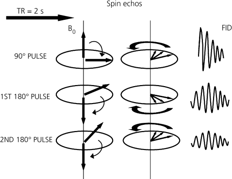 Schematic diagram showing the behaviour of precessing h | Open-i