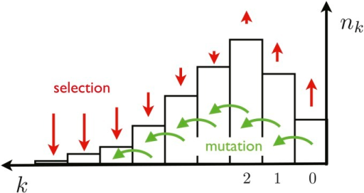 Deleterious Mutationselection Balance The Populatio Open I 6338