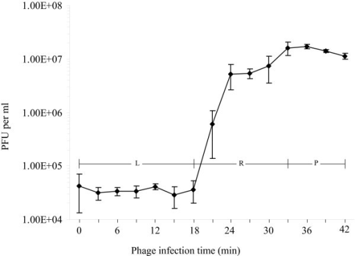 one step growth curve experiment