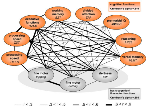 cognitive domain