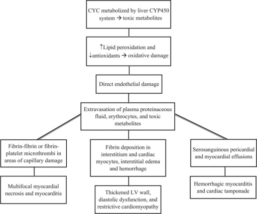 Pathophysiology and clinical manifestations of cyclopho | Open-i