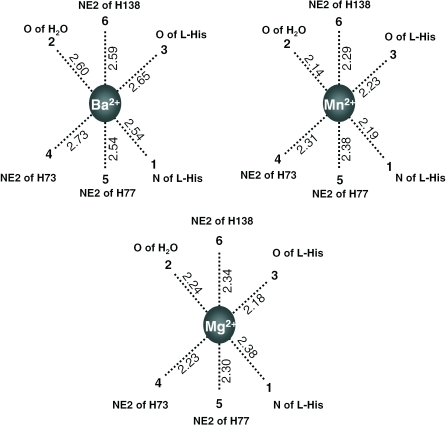 Divalent metal ion coordination distance comparison for | Open-i