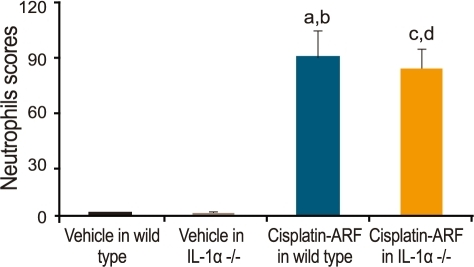 Induced Apoptosis Vs Natural Killer Cells Induced Apoptosis Vs Natural Killer Cells