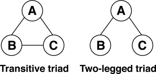 Two types of triads which are ties among three people. Open i