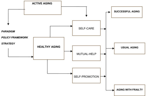 Active Aging As Paradigm, Policy Framework, And Strateg | Open-i