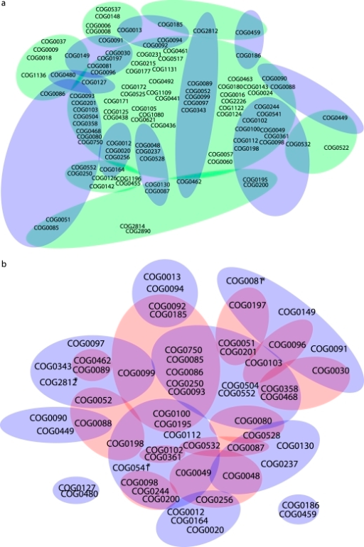 Similarity In Homogeneous Sets Identified By Cadm And C Open I