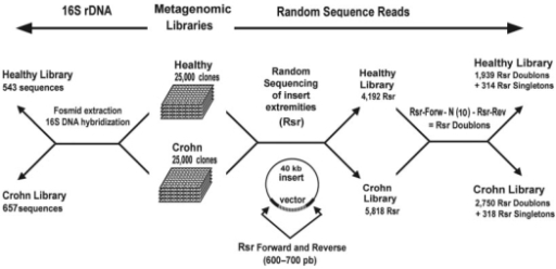 16s rdna sequence analysis 16s rdna sequence analysis