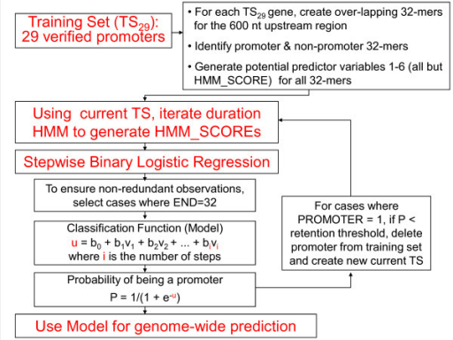 flowchart of stepwise binary logistic regression iterat open i