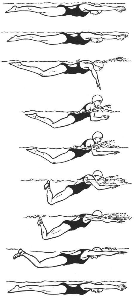 Breaststroke Cycle Pull-through And Recovery Of The Rig | Open-i