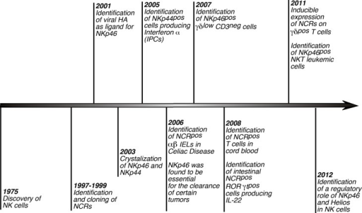 epigrams from an essay on criticism analysis of financial statements