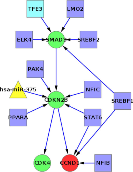 cycle of network analysis definition cycle of network analysis definition