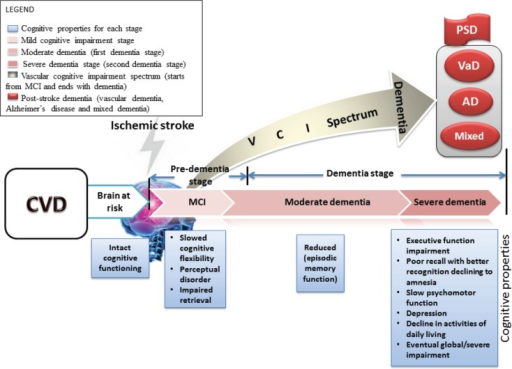 Block Diagram Of Vascular Cognitive Impairment Spectrum | Open-i