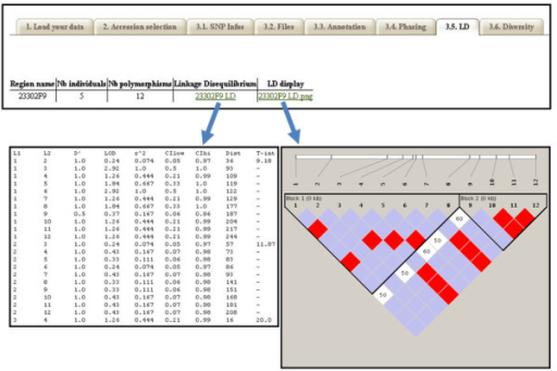 Haploview Format File