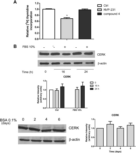 Role of endogenous C1P on C2C12 myoblast proliferation | Open-i