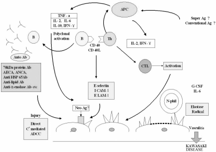 Treatment Of Kawasaki Disease With Anti Tnf Antibodies Treatment Of Kawasaki Disease With Anti Tnf Antibodies