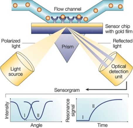 A schematic of the conventional Kretschmann optical con ...