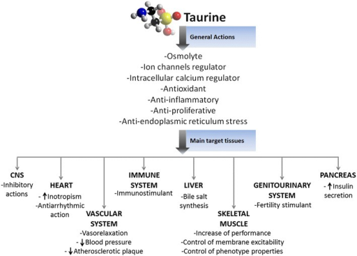 taurine effects on clotting