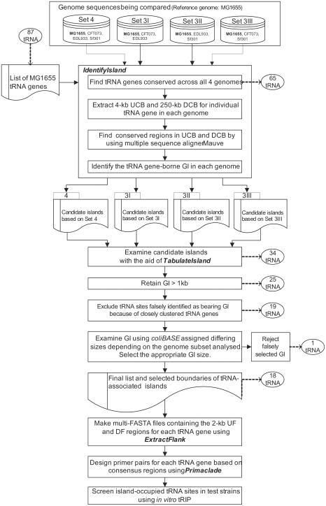 Flowchart depicting the tRNAcc high-throughput strategy | Open-i