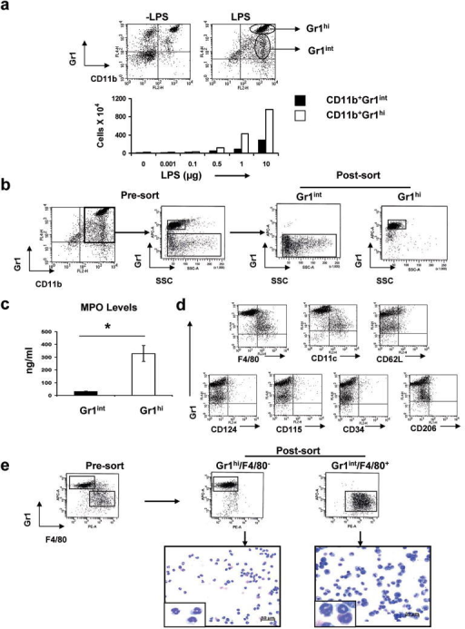 LPS Administration Increases The Frequency Of CD11b+Gr1 | Open-i