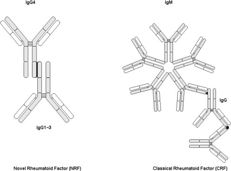 A Novel Rf. Schematic Representation Of Two Distinct Mo 