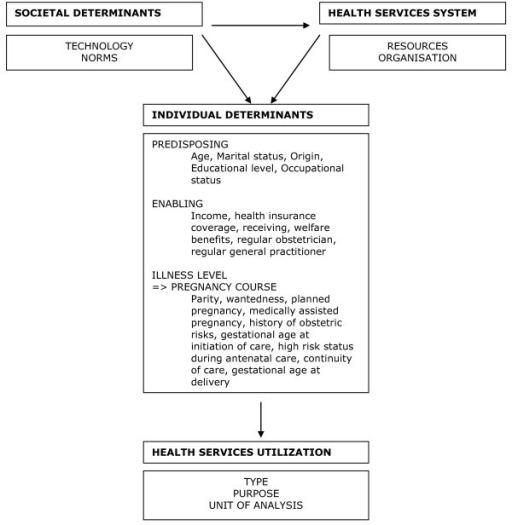 Outline Of The Behaviour Model By Andersen And Newman Open I