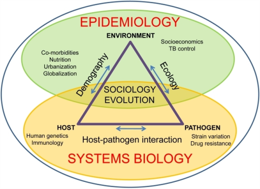 A systems epidemiology approach to TB research.The spre | Open-i