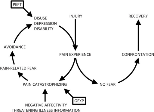 The fear-avoidance model, showing the targets of Pain E | Open-i