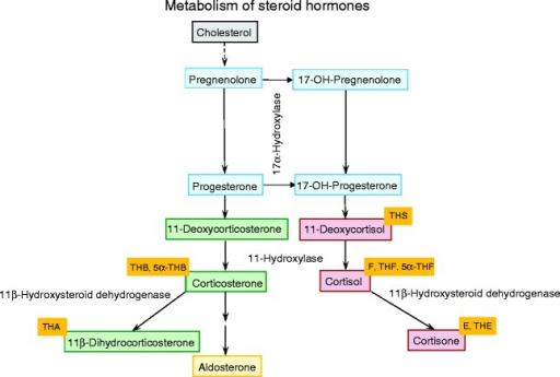 Schematic Flow Diagram Representing The Steroid Hormone Open I 