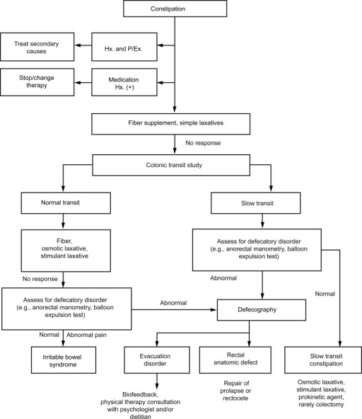 Algorithm of the diagnosis and treatment of constipatio | Open-i