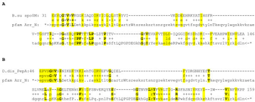 Bacterial Spo0m And Eukaryotic Vps26 Proteins Are Membe Open I