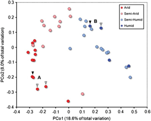 example geographic distance matrix in genodive example geographic distance matrix in genodive