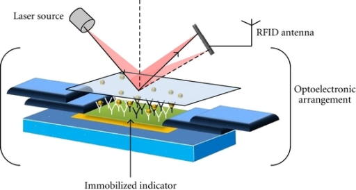 Architecture Of An Optical Biosensor. | Open-i