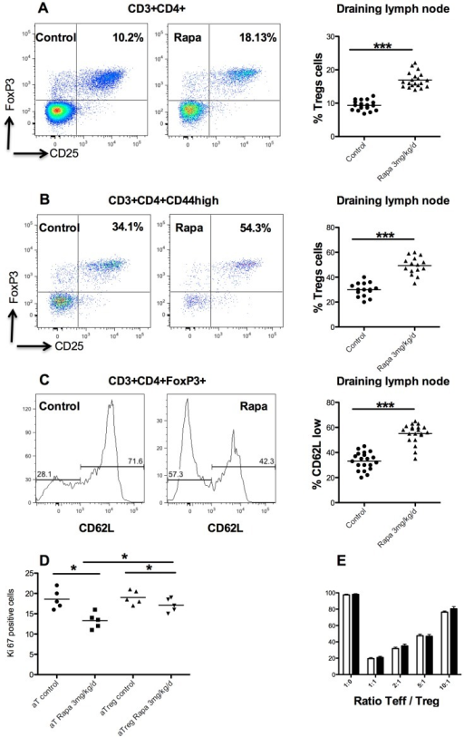 Effect of rapamycin on Treg cells.Representative dot pl | Open-i