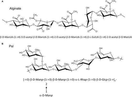 Structures Of Alginate And Psl Polysaccharide. (A) P. A | Open-i