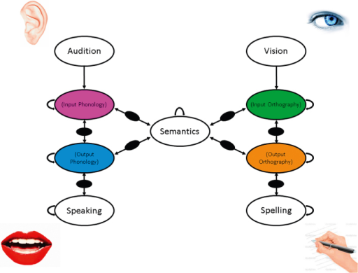 A schematic diagram of a model of visual and auditory w | Open-i