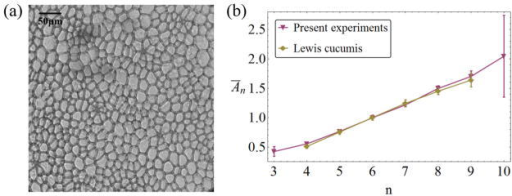 an experiment to determine the thickness of tissue Specific resistance of body tissues easurements of tissue resistivity the thickness of the blood livyer, which forms. an experiment to determine the thickness of tissue Specific resistance of body tissues easurements of tissue resistivity the thickness of the blood livyer, which forms.
