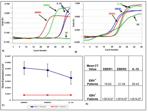 qrt-pcr-data-analysis-delta-rn-vs-cycle-a-b-real-t-open-i