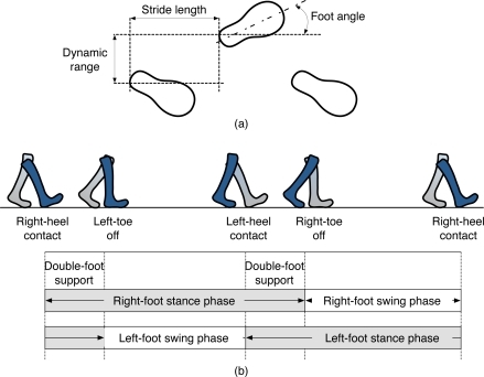 Examples of walking pattern in gait: (a) stride length, | Open-i