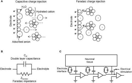 Electrode-electrolyte Interface And Charge Injection. ( | Open-i