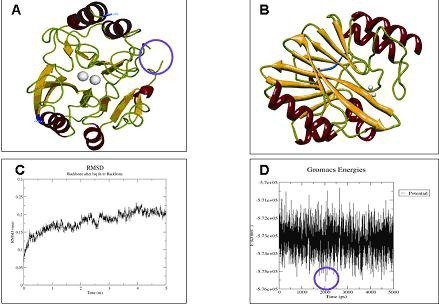 A Crystallized 3d Structure Of Blandm 1 In E Coli Ma Open I