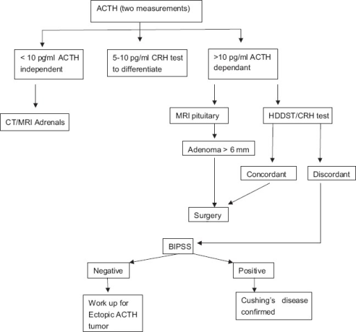 Flow Chart Depicting Evaluation Of Case Of Cushing's Sy 