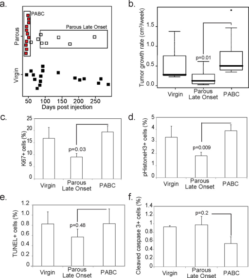 Pregnancy associated breast cancer PABC arises in MMT Open i