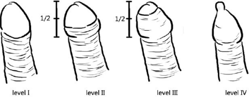 Penis Classification 70