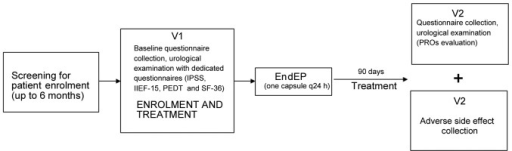 Study flow chart in accordance with consolidated standa Open i