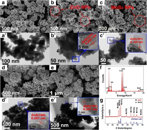 The Sem And Tem Images Of Mos2 Zno With Different Mass Open I