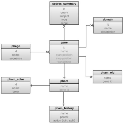entity relationship diagram