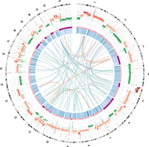 Circos plot illustrating the genomic features of the He | Open-i