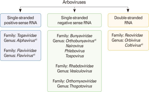 Classification Of Arboviruses. Arboviruses Are Included 