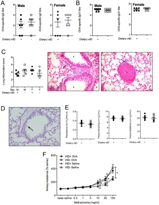 Significant OVA-specific IgE and IgG1, lung inflammatio | Open-i