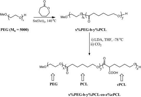 Schematic Representation Of Polymer Synthesis PEG-PCL B | Open-i